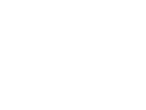 Logo Aurus