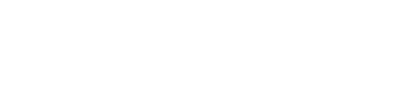 Logo IDHOK